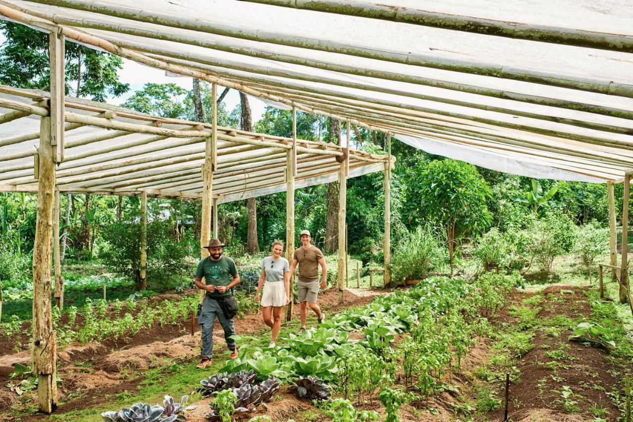 Finca Luna Nueva Lodge La Fortuna Exterior foto