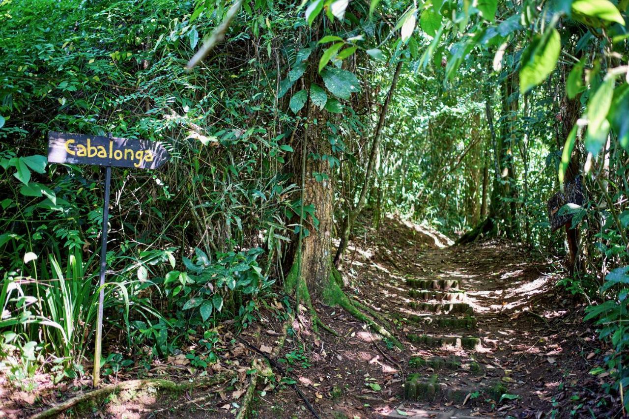 Finca Luna Nueva Lodge La Fortuna Exterior foto