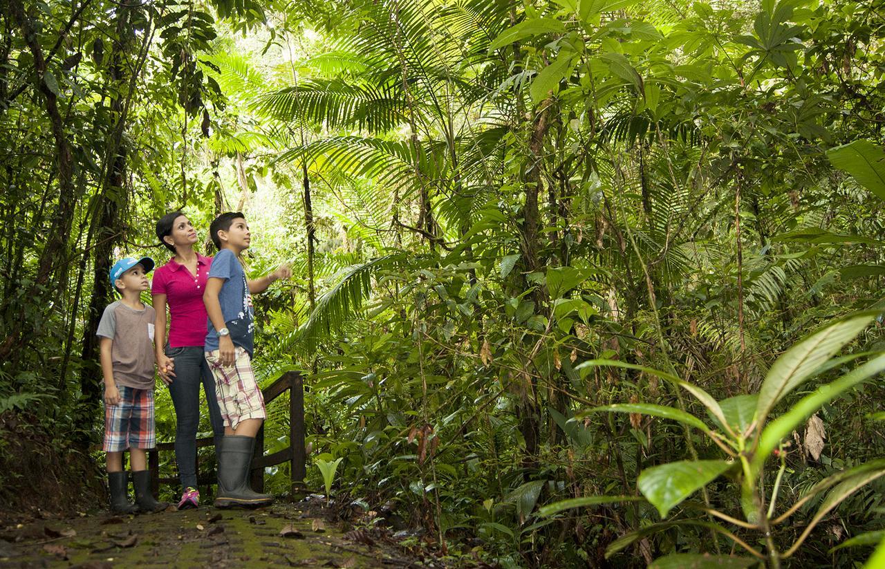 Finca Luna Nueva Lodge La Fortuna Exterior foto